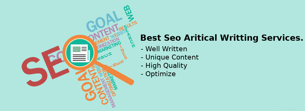 Best Seo Article writing in ambala  