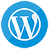 WordPress Theme development