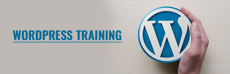 WordPress Training in Ambala