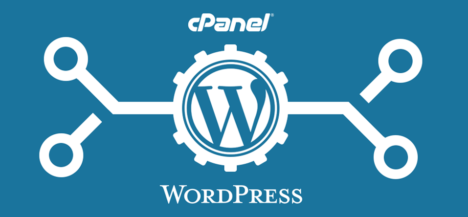 WordPress Training in Ambala