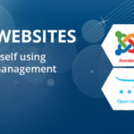 Magento & Joomla Industrial Training