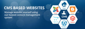 magento and joomla industrial training in ambala