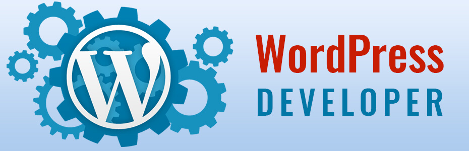 WordPress Developer