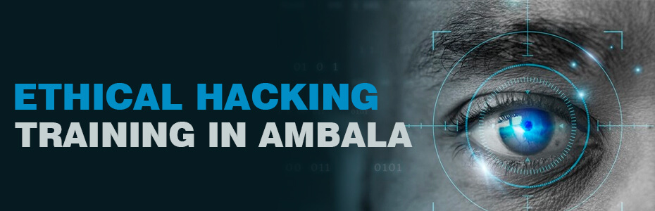 Ethical Hacking Training in Ambala